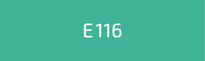 Illustration E116